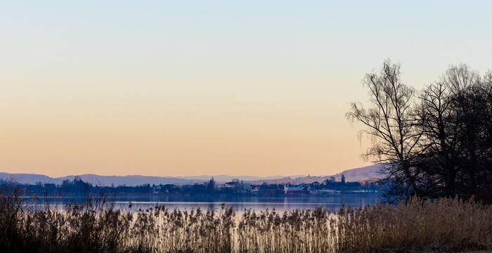 Baldeggersee. Foto: Peter M. Grütter