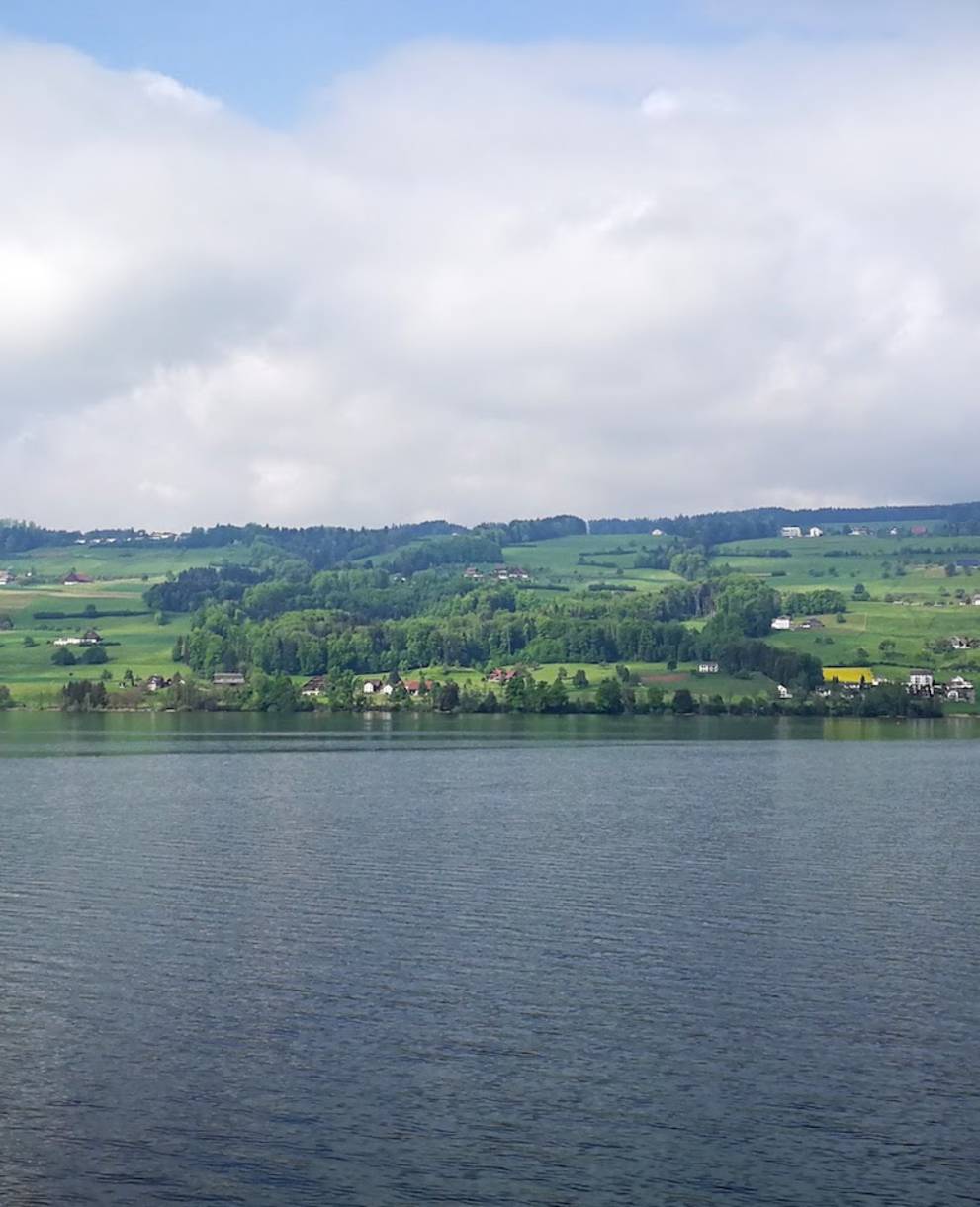 Baldeggersee. Foto: Samuel Ehrenbold