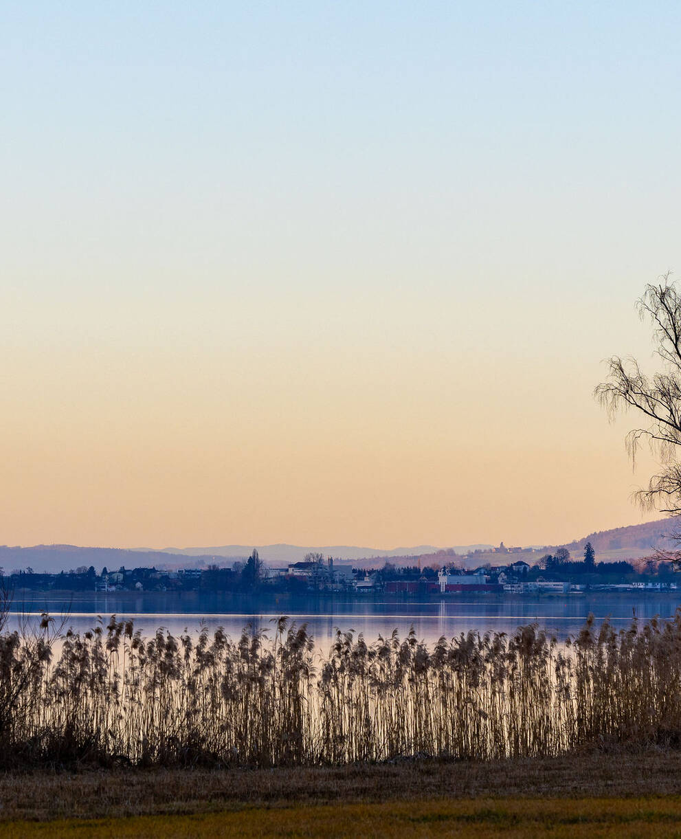 Baldeggersee. Foto: Peter M. Grütter