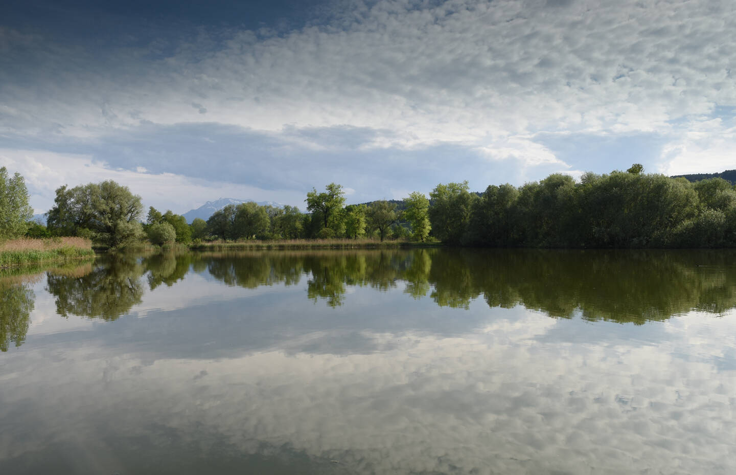 Baldeggersee Südende